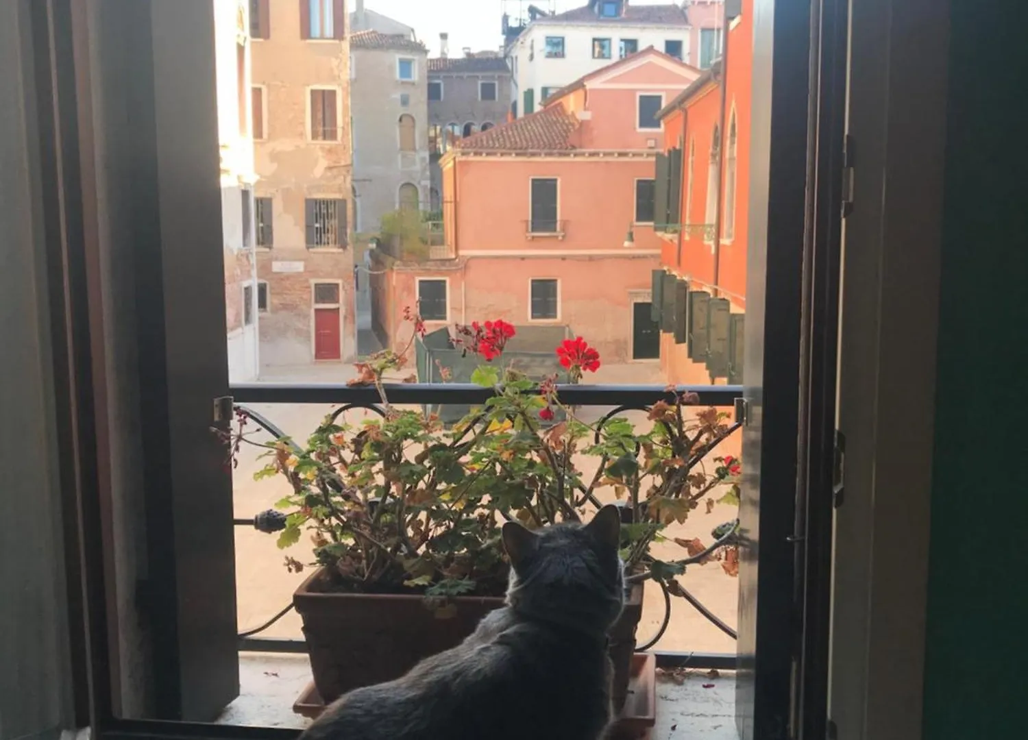 Albrizzi Charme Apartment Venezia